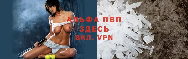 ALPHA PVP Елизово