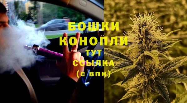 винт Дмитров