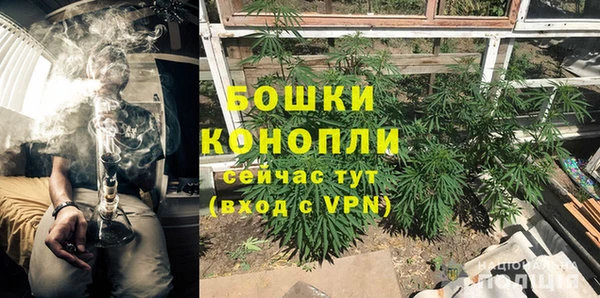 ГАЛЛЮЦИНОГЕННЫЕ ГРИБЫ Фурманов