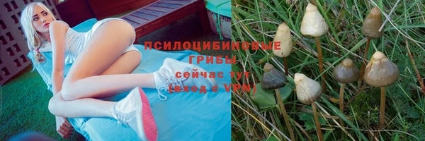 метамфетамин Ельня