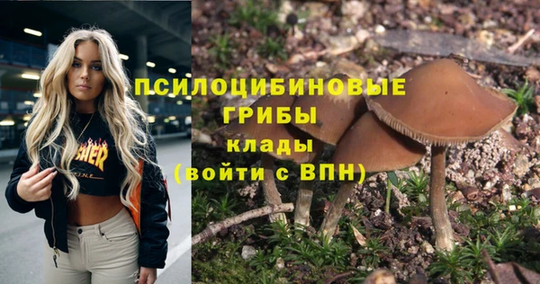 ALPHA PVP Елизово