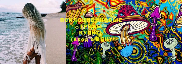 прущий лед Дмитровск
