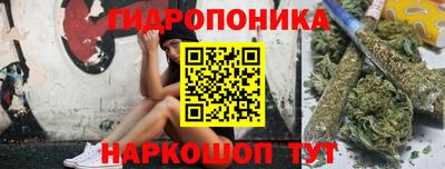 прущие грибы Бузулук