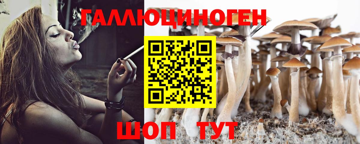 Псилоцибиновые грибы мицелий  Вход с VPN  Зеленодольск 