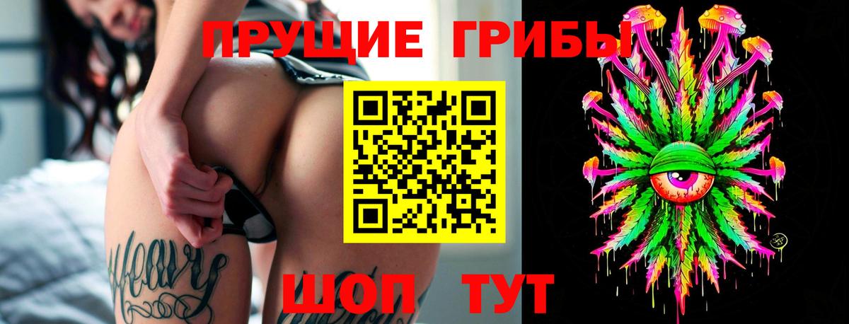Галлюциногенные грибы Magic Shrooms Зеленодольск